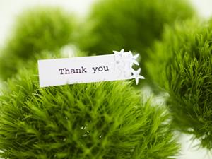 通販でも品質の高い日本製チェストが欲しい