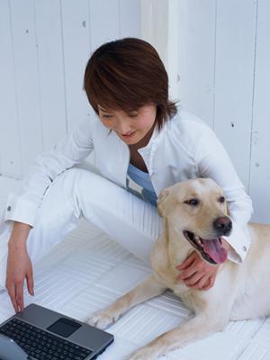 稲生のコシヒカリを米通販で10kg購入するなら