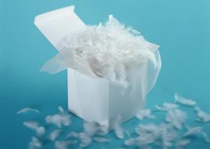 本場下関のふぐを堪能できる通販サイト